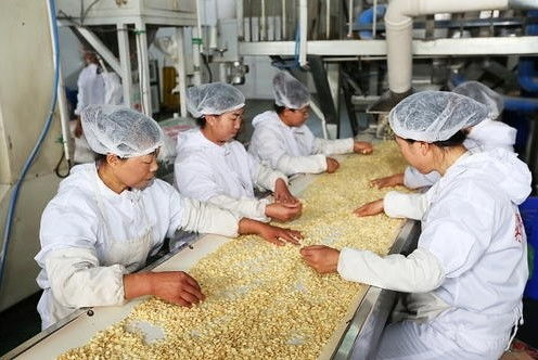 今年农产品加工业营收入23.5万亿元
